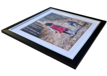 Avondale Range - Picture Bloc